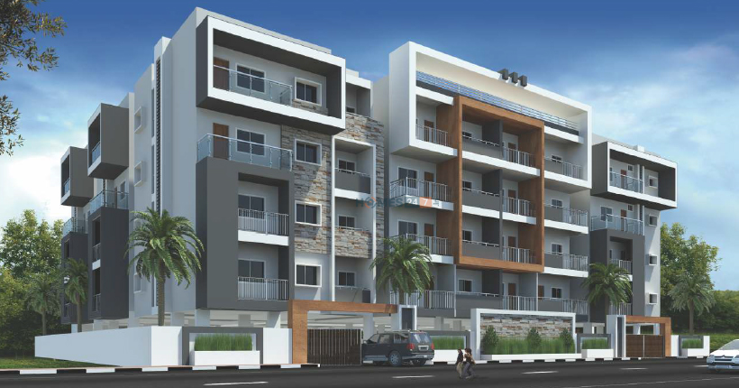 SNR White Petals Cover Image